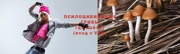 mix Нея