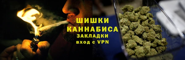индика Чекалин