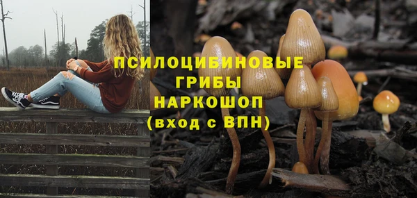 mix Нея