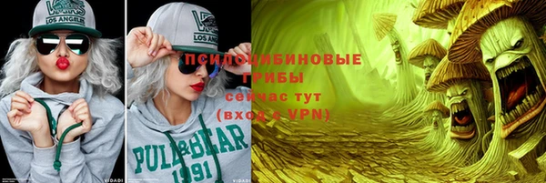 a pvp Володарск