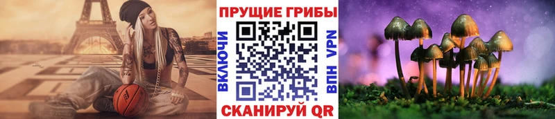 Галлюциногенные грибы Psilocybe  KRAKEN зеркало  Белёв 