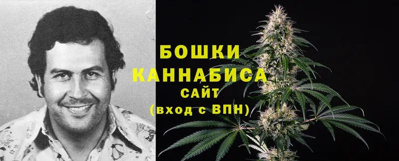 мега   Белёв  Каннабис Ganja 