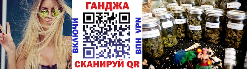 Бошки Шишки планчик  цена   Белёв 
